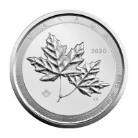 2 oz 2020 Canadian Twin Maple Silver Coin | Silver Gold Bull US