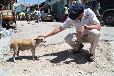 Progress for animals in Haiti - Tails Of The City