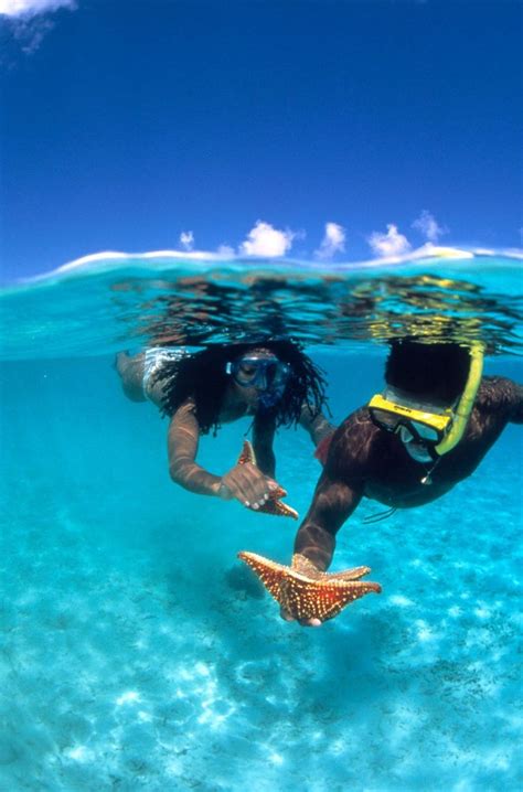 Best snorkeling spots in the Caribbean | Best snorkeling, Snorkeling ...