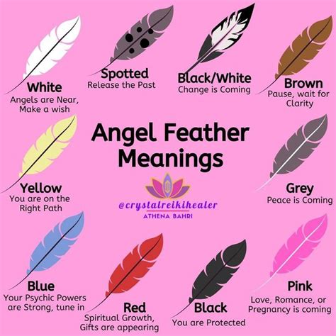 🦋Crystals🌟Healer🔮Chakras on Instagram: “Have you been finding feathers? I love when they pop up ...