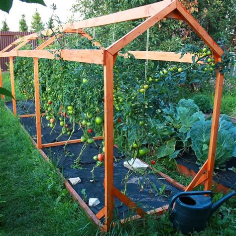 Harvesttotable.com on Instagram: “Tomato Frame This tomato frame does ...