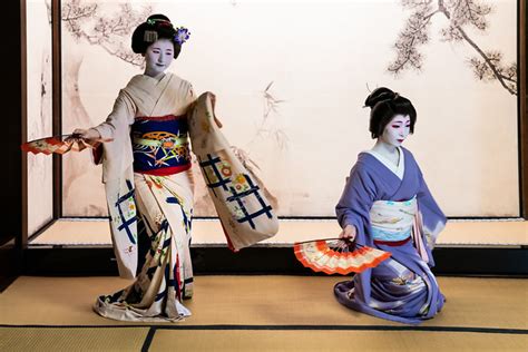 Differences between Maiko and Geisha and Geiko - Tea Ceremony Japan ...