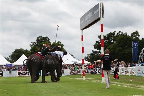 Elephant Polo in Thailand: Much More Than A Game