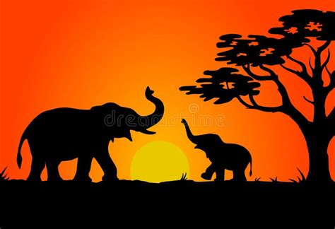 Safari Sunset Stock Photo - Image: 1370450