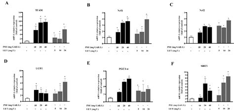 Foods | Free Full-Text | Peanut Shell Extract and Luteolin Regulate Lipid Metabolism and Induce ...