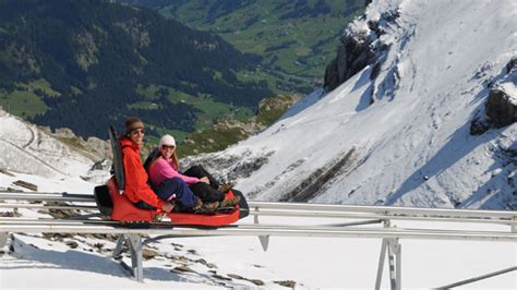 Alpine Coaster | Switzerland Tourism