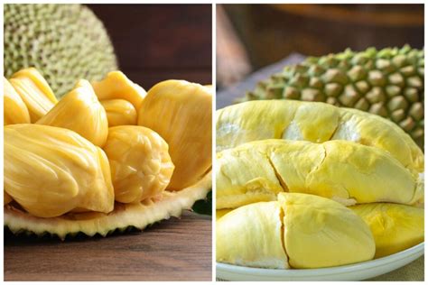 Jackfruit Vs Durian - 6 Crucial Facts