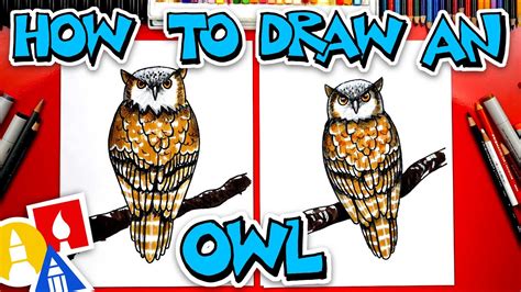 How To Draw A Realistic Owl - YouTube