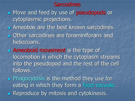 The Kingdom Protista. - ppt download