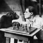 Man playing chess with monkey — Stock Photo © everett225 #12292767