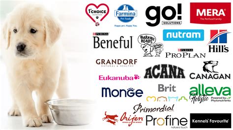 What Is The Best Brand Of Puppy Food