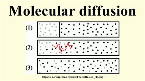 Molecular diffusion - YouTube