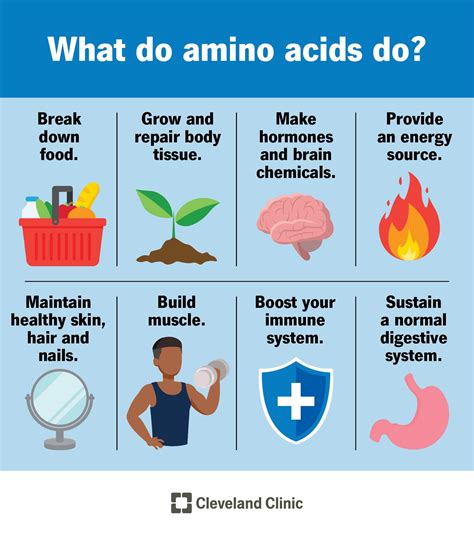 Amino Acid: Benefits & Food Sources