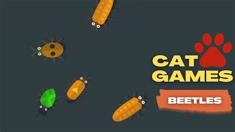 CAT GAMES Game for your cat to catch Insect Beetles - YouTube