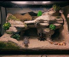 120 Reptile enclosures ideas | reptile enclosure, reptile room, reptile ...