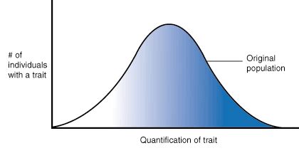 SparkNotes: Natural Selection: Types of Natural Selection