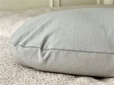 Moon Pod 4D Pillow Review (2023) | Non Biased Reviews