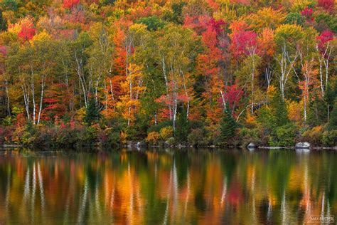 Reflections of Change | Groton State Forest | Vermont | Max Foster Photography