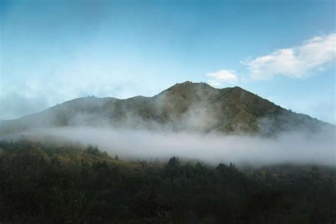 A day in the life of Mount Tamalpais in 5 minutes