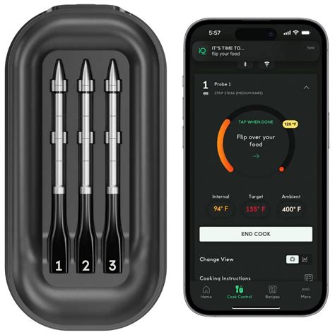 Chef iQ Smart Thermometer 3 Probe + Hub | ShelHealth