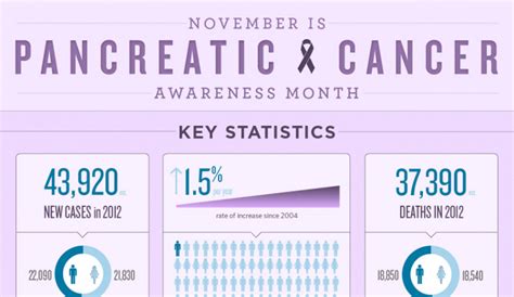 Stage 4 Pancreatic Cancer Life Expectancy | HRFnd