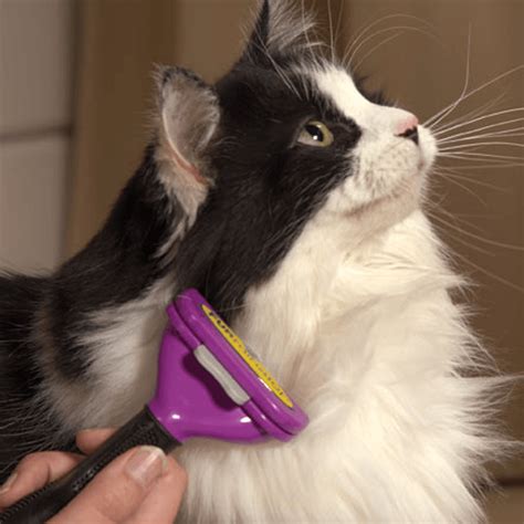 FURminator DeShedding Tool for Cats - PAWsome Critters