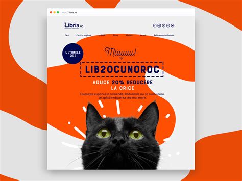 Newsletter Design - Lucky Cat by Wizzdesign on Dribbble