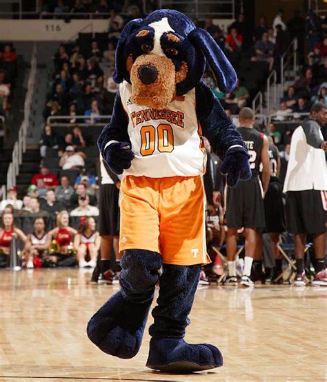 Tennessee Volunteers mascot Smokey cheers on the Vols at a UT ...