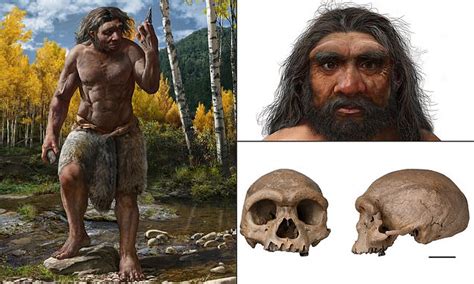 SCI - Newly-identified ancient humans who lived 150,000 years ago and had SQUARE eye sockets and ...