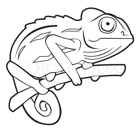 Chameleon clipart chameleon outline, Chameleon chameleon outline Transparent FREE for download ...