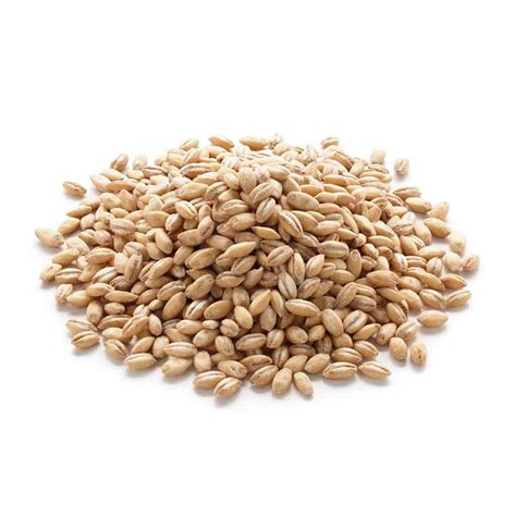 Barley Grain for Sprouting, Organic - Go Raw Organics