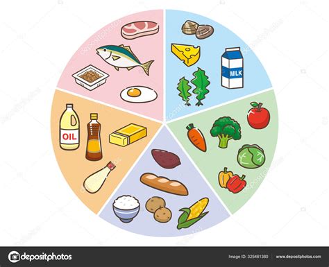 Chart of five major nutrients — Stock Vector © ankomando #325461380