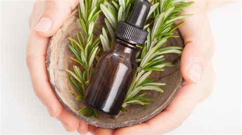 6 Ways Rosemary Oil Can Stimulate Hair Growth | Woman's World