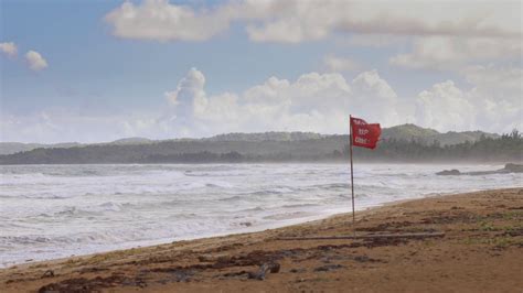 Red Beach Flag Dangerous Surf Rip Current Stock Footage SBV-347429638 ...