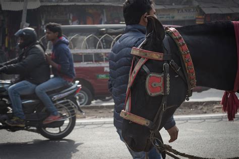 Old Delhi Streets on Behance