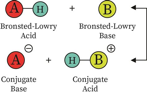 Bronsted Lowry Base In Inorganic Chemistry | bartleby