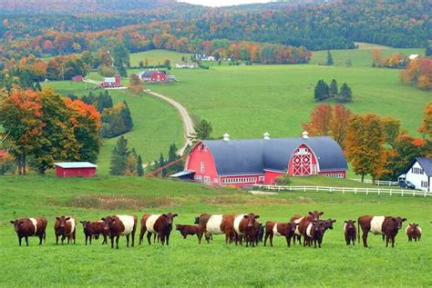 East Albany, Vermont | Vermont foliage, Vermont, Seasons photography