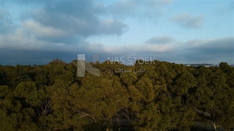 drone footage of the Temple of Zeus, Cyrene, Libya, history of Libya ...