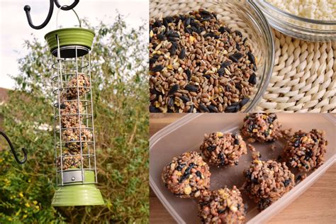 How to Make Fat Balls for Wild Birds [Plant-Based and Easy!] - Grateful Green Life