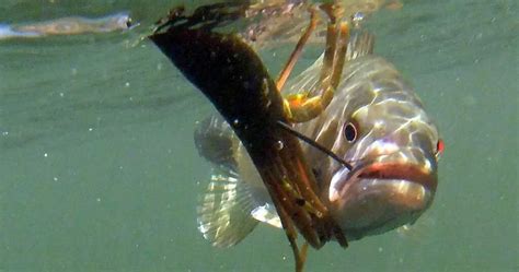 Fishing Horsetooth Reservoir