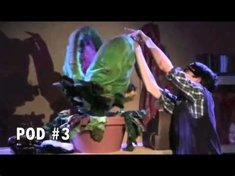 Audrey II Puppet Design Reel | Audrey ii, Audrey, Design