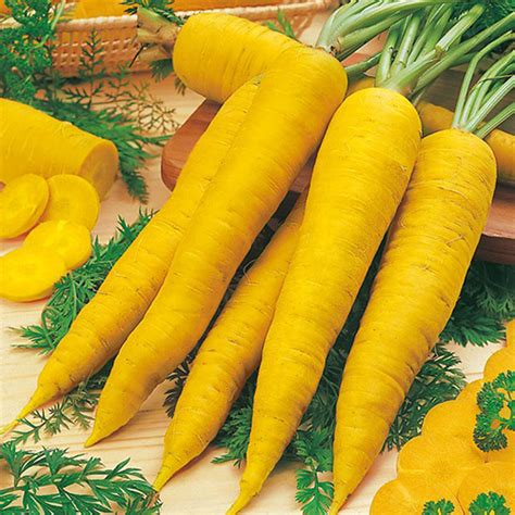 Carrot Baby Yellow | Food Gallery