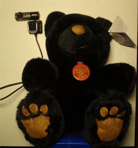 Build a Webcam Teddy Bear : 7 Steps (with Pictures) - Instructables