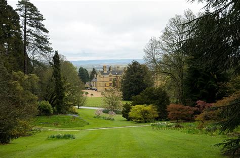 Batsford Arboretum - brooklandsplants