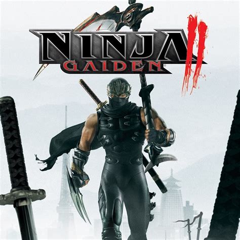 Basics - Ninja Gaiden 2 Guide - IGN