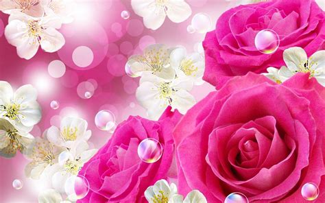 Beautiful Pink Roses Wallpapers For Desktop - Wallpaper Cave