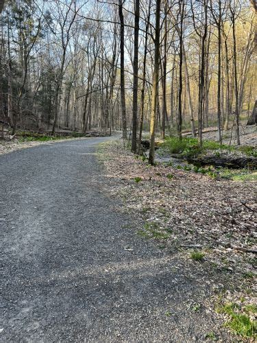 2023 Best Wheelchair Friendly Trails in Rockefeller State Park Preserve | AllTrails