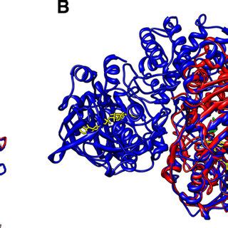 (PDF) Structures and Mechanism of the Monoamine Oxidase Family