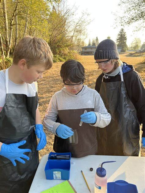 McCleary middle school students test Wildcat Creek water | The Daily World