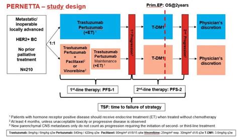 HER2 positive breast cancer: Treatment de-esc | EurekAlert!